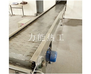甘肃链板输送机